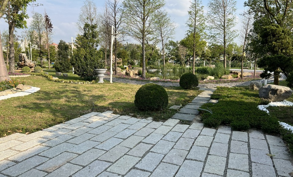 IMG_6725_960x580