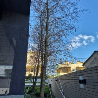 幸福流域-後院