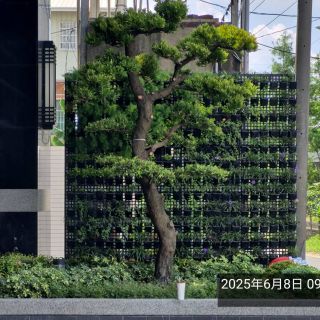 幸福流域-入口