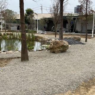IMG_6327_960x580
