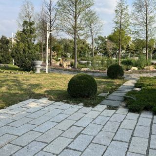 IMG_6725_960x580